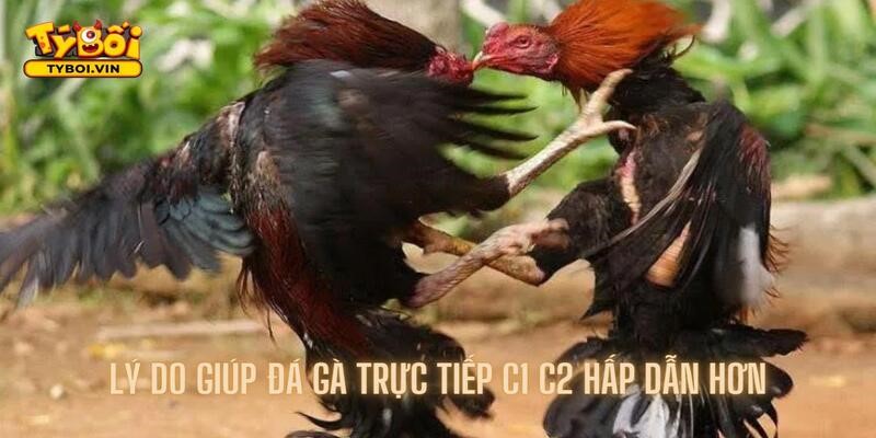 Tổng hợp những lý do giúp giải c1 c2 trở nên hấp dẫn