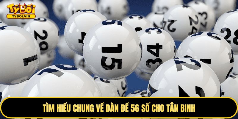 Khám phá về dàn đề 56 số