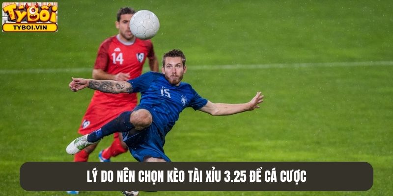 Lý do nên chọn kèo tài xỉu 3.25 để cá cược
