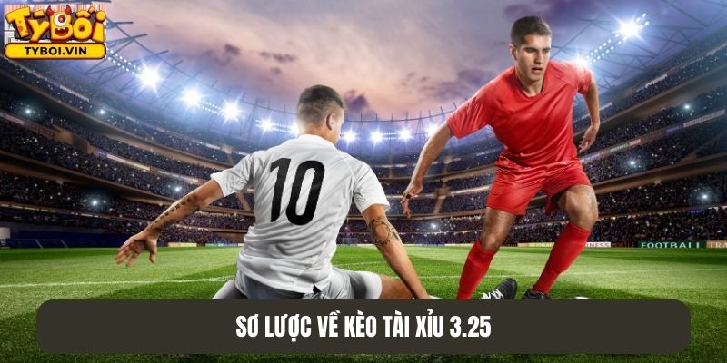 Sơ lược về kèo tài xỉu 3.25 newbie cần nắm