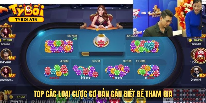Top các loại cược cơ bản cần biết để tham gia